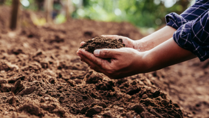 A partir da visão de João Eustáquio De Almeida Junior, o texto mostra por que a matéria orgânica é uma estratégia central para a saúde do solo.