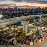 Renato de Castro Longo Furtado Vianna